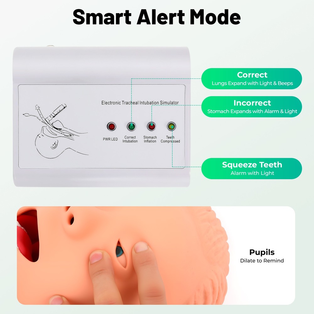 Intubation Manikin Study Teaching Simulator Airway Management Trainer Model