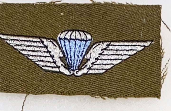 Denmark Para Airborne Wing Badge / Patch