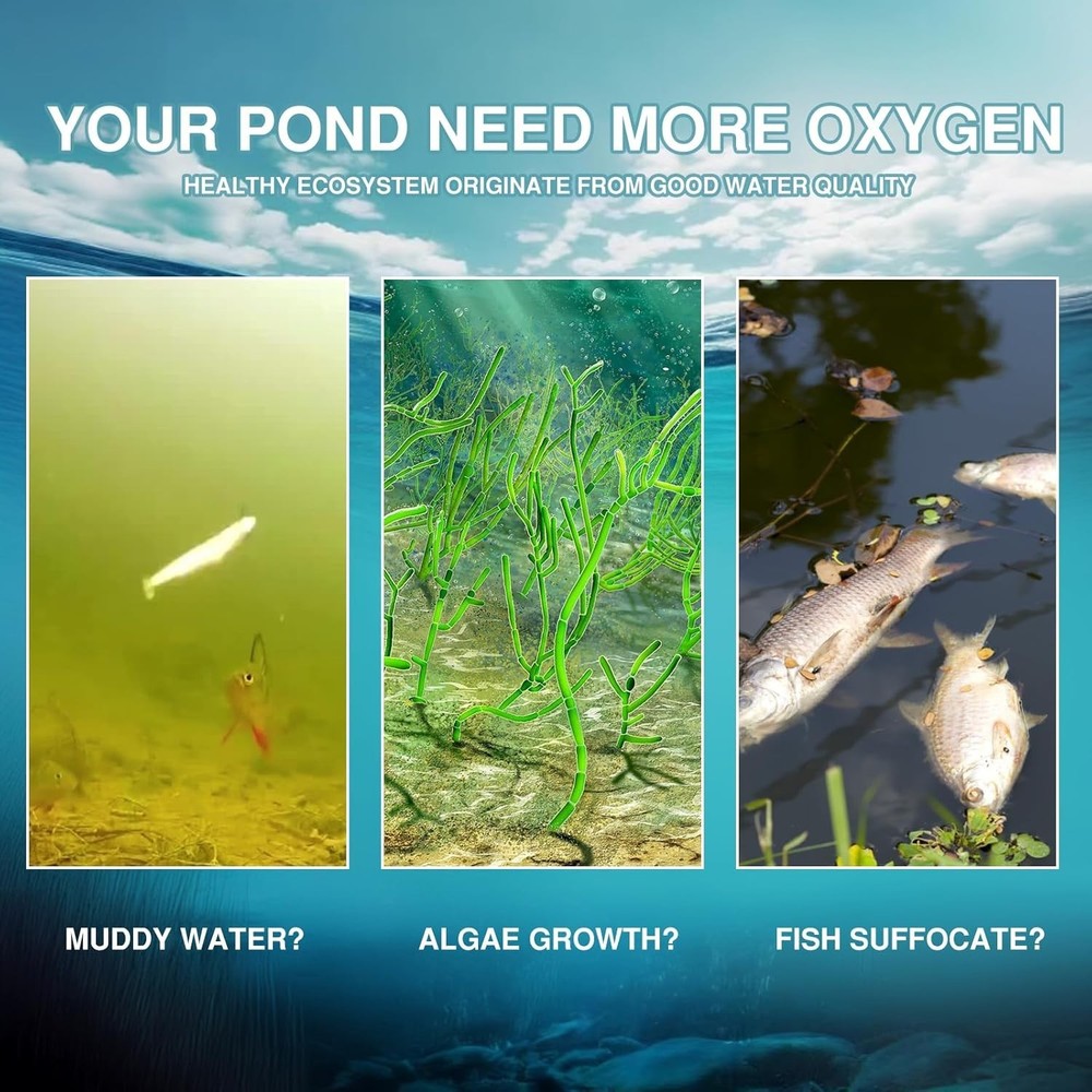 Outdoor Pond Aerator System 100ft Sinking Air Line 5.76 CFM with 2 Diffusers
