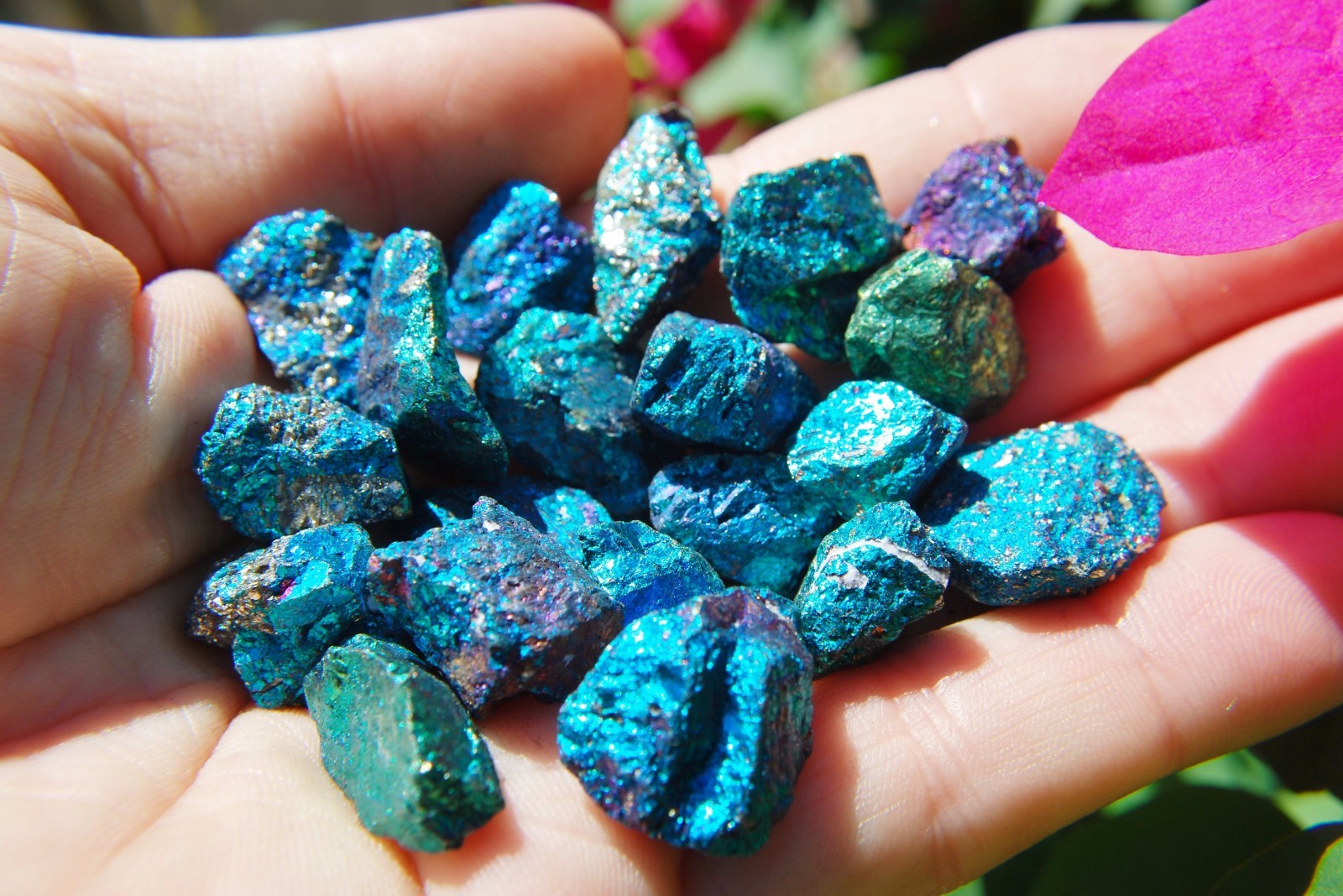 ~20 PCS AAA Grade CHARGED 650cts BABY PEACOCK™ ORE Chalcopyrite Crystals Healing