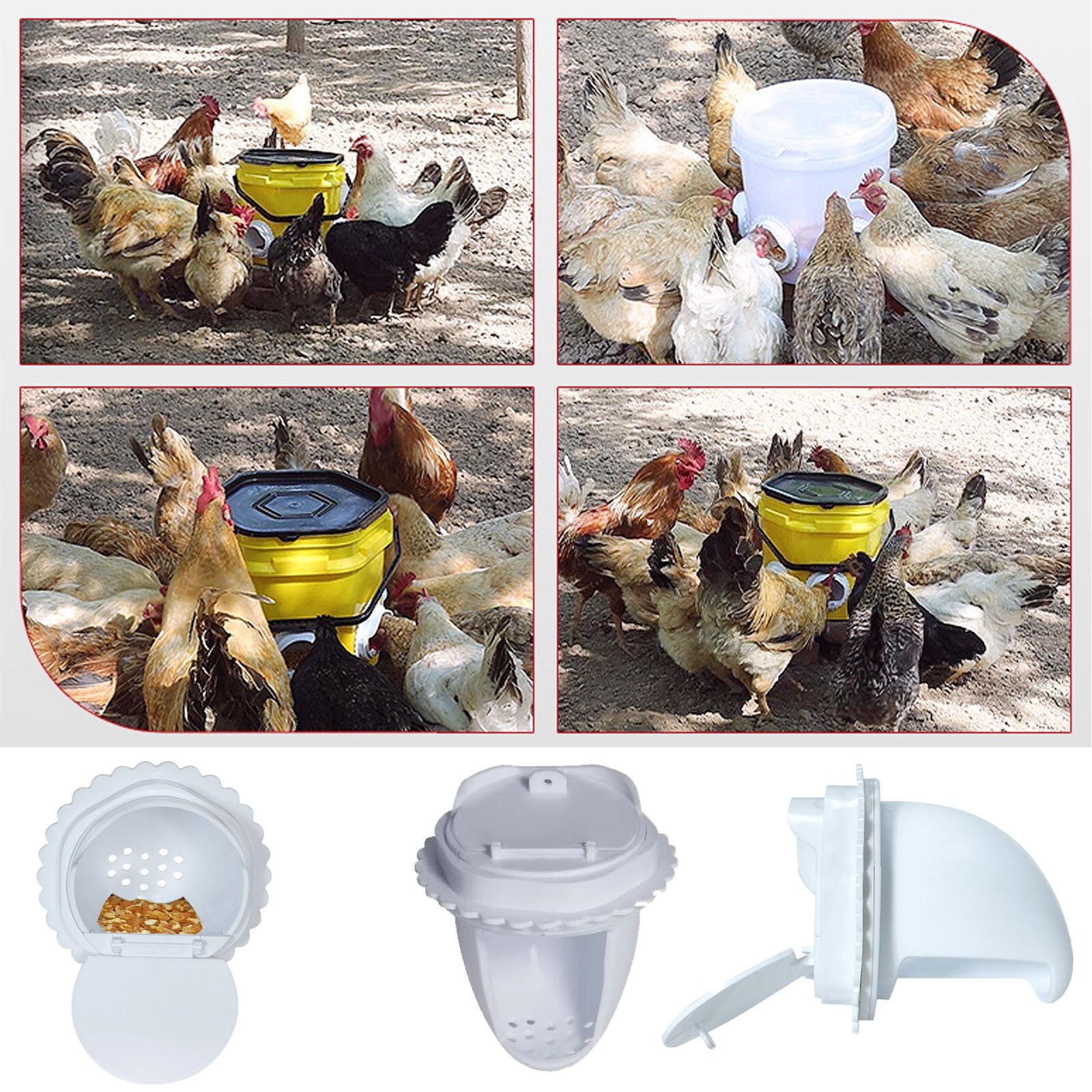 4pcs Chicken feeder Automatic Feeders No Waste port for feeding
