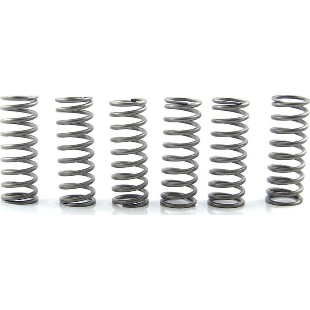 EBC CSK Clutch Spring Kit - CSK205