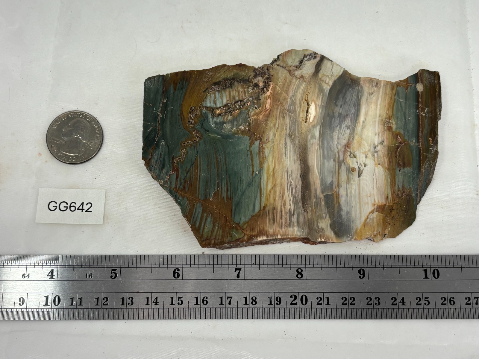 Gary Green Caldera Freedom Jasper Slab Cabbing Lapidary Combo Ship Avail