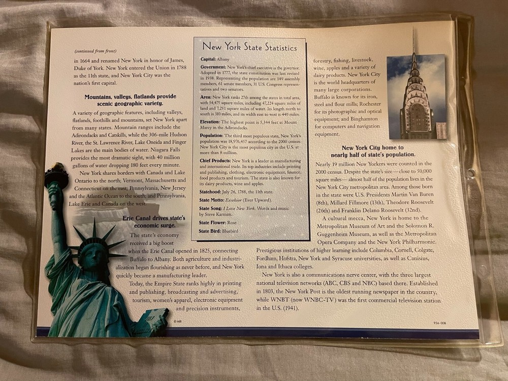 WILLABEE & WARD FLAG PATCH PANE ****NEW YORK