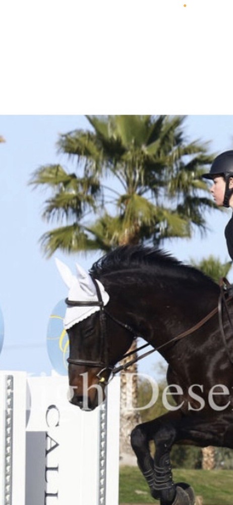 Eskadron horse ear bonnet