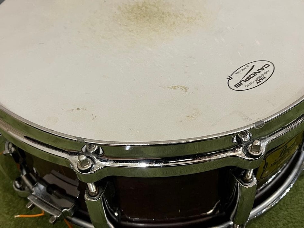 Pearl Masters Studio Snare Drum Birch Shell