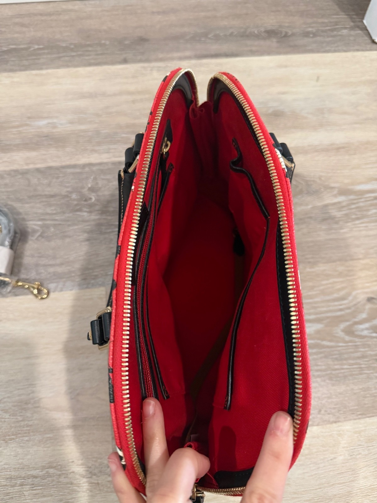 Disney Dooney & Bourke Mickey & Minnie Retro Dome Satchel