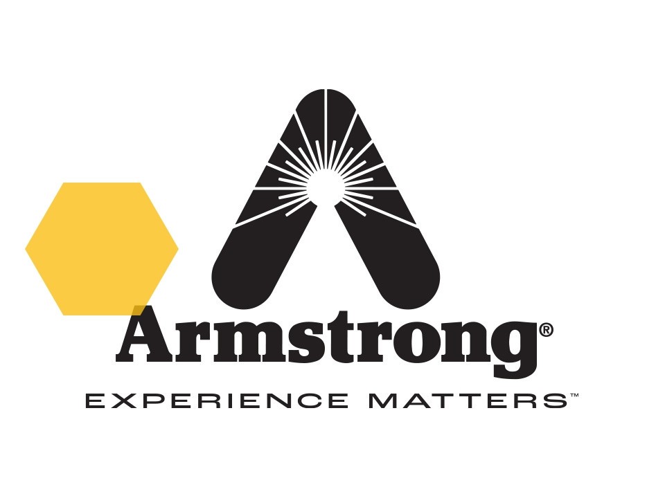 Armstrong International B5213 Ionic Bed