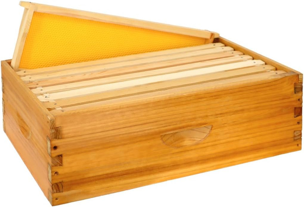 8 Frame Langstroth Medium Super Bee Hive Box w/ Frames & Wax Sheets Unassembled