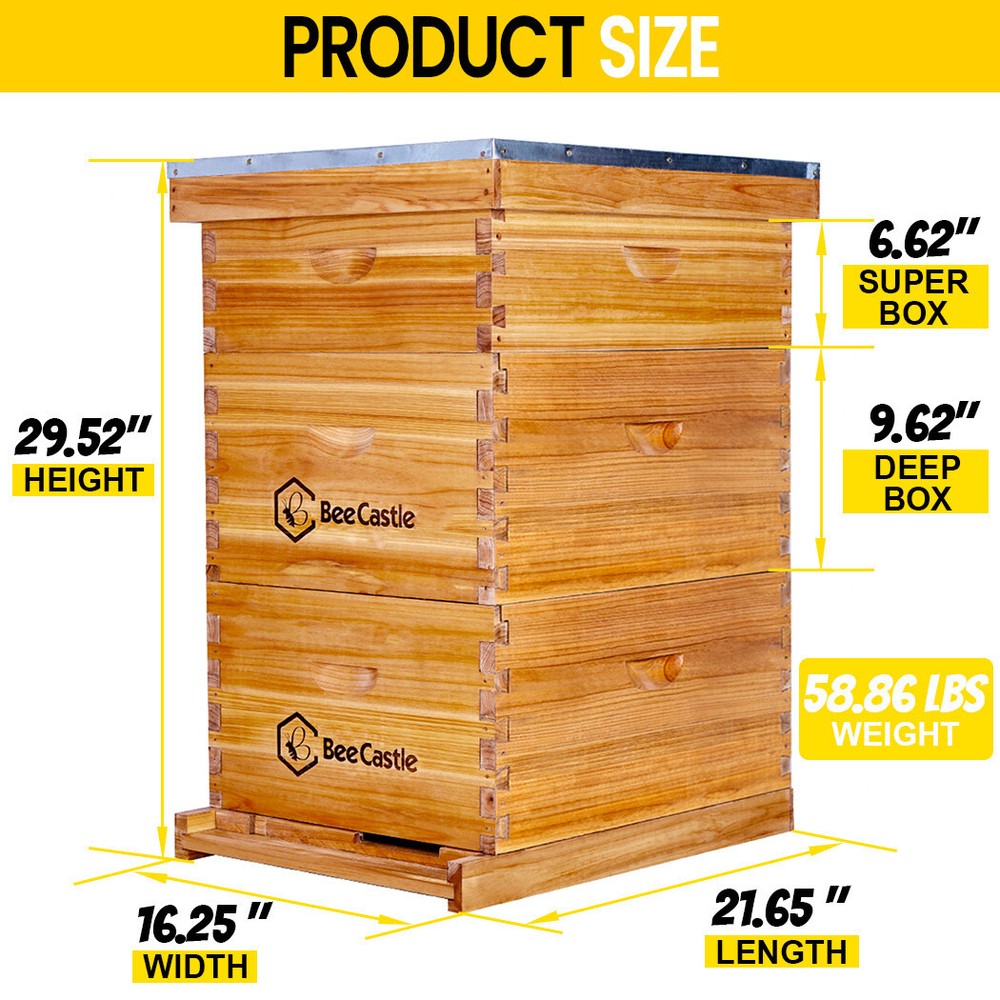 BeeCastle 10 Frame Beehive ( 2 Deep Brood Bee Boxes & 1 Medium Super Bee Box)