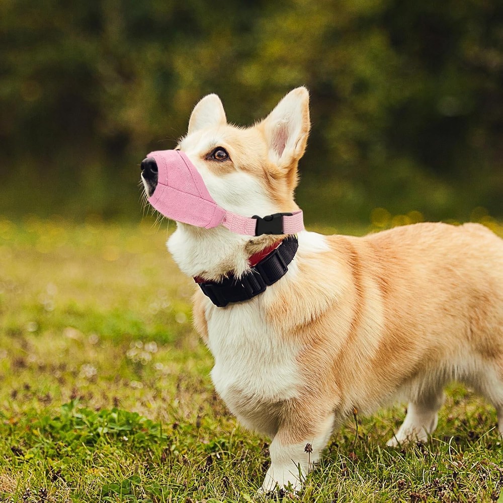 Dog Muzzle Small Dogs Breathable Adjustable Puppy Muzzles Small Dog Muzzle