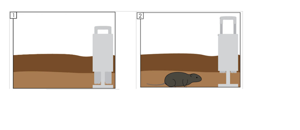 (2PACK)Gopher Mole Vole Tunnel Trap Sensitive Trapper Eco Friendly Catcher