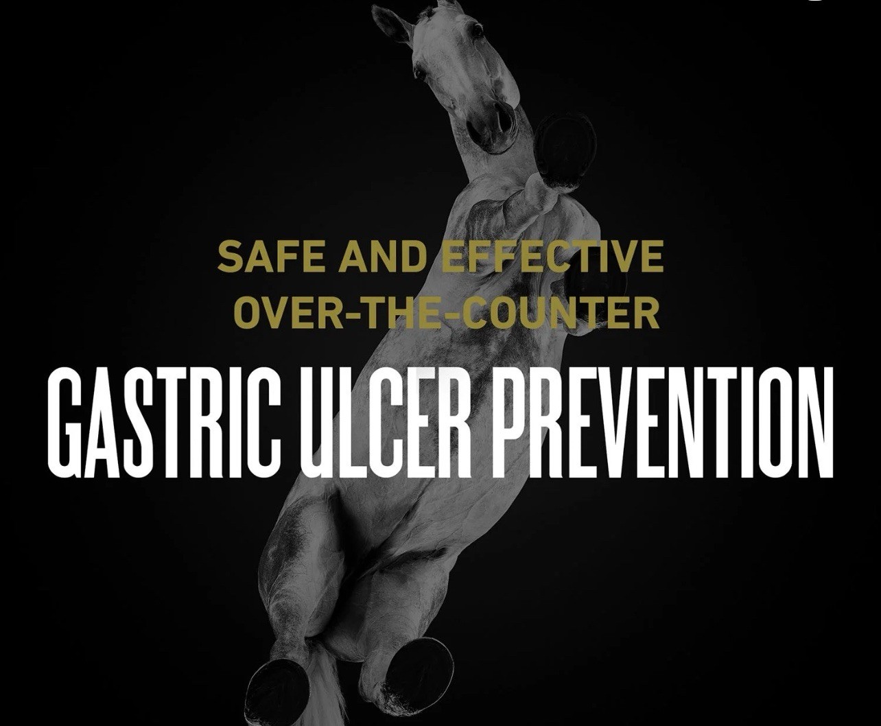 ULCERGARD Oral Paste for Horse Stomach Ulcers 22 Oz, 4 dose syringe Exp 07/2026