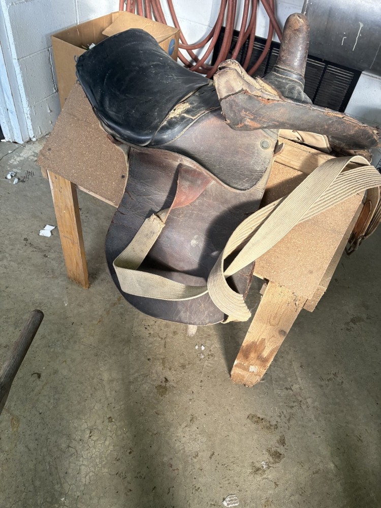 antique sidesaddle equestrian