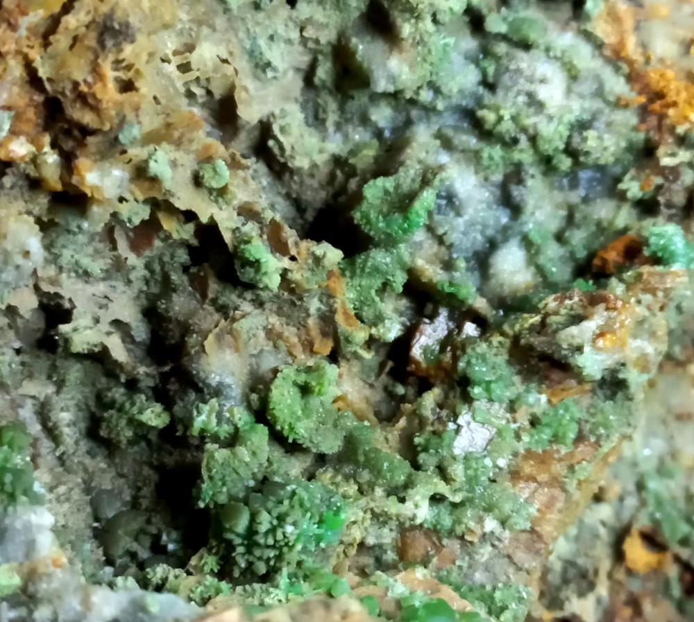 Pyromorphite Sardinia