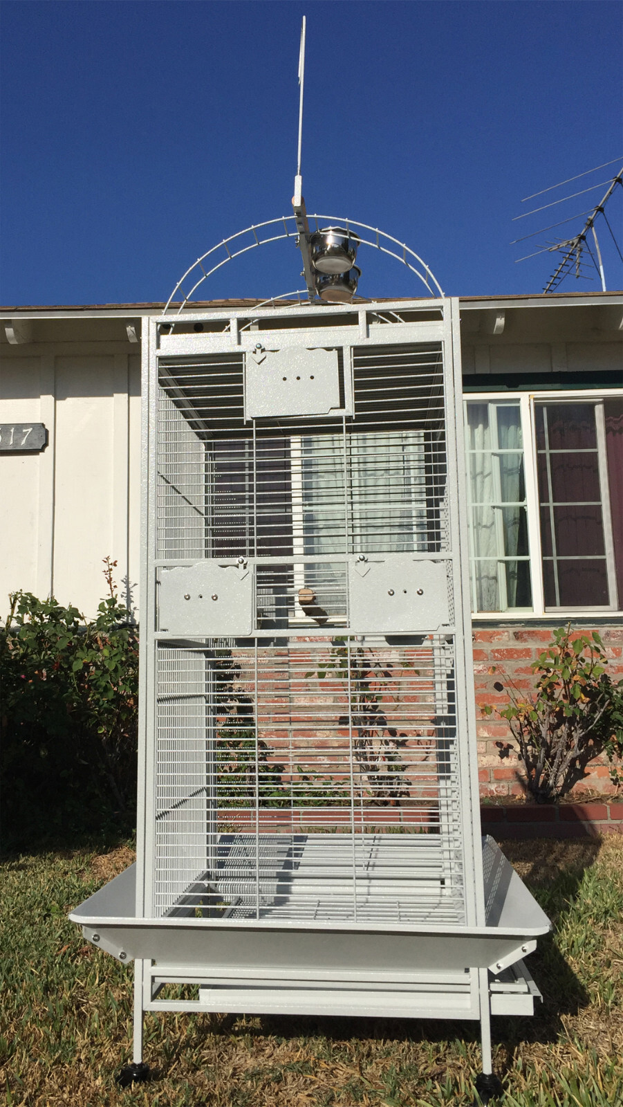 XLARGE 75" Bird Parrot Play-Top Cage Cockatiel Macaw Conure African Grey Conures