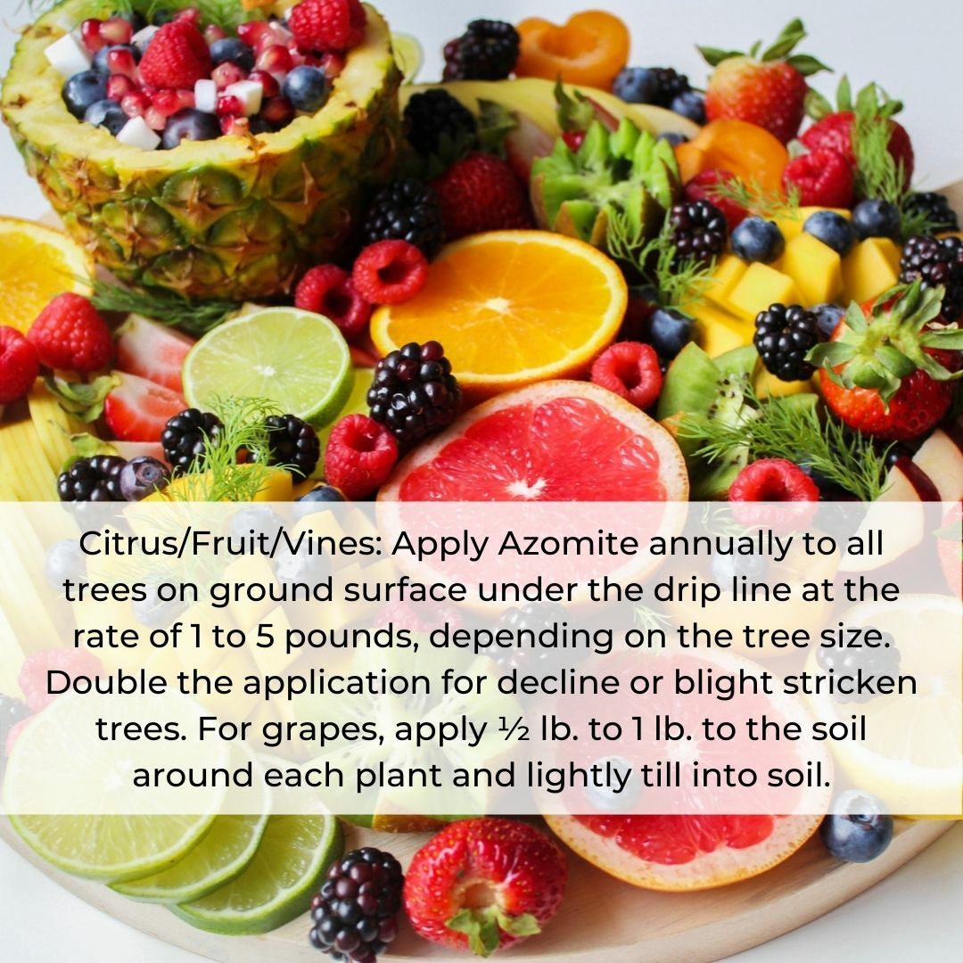 44 Pound AZOMITE Volcanic Ash Rock Dust Powder -67 Trace Minerals - Original Bag