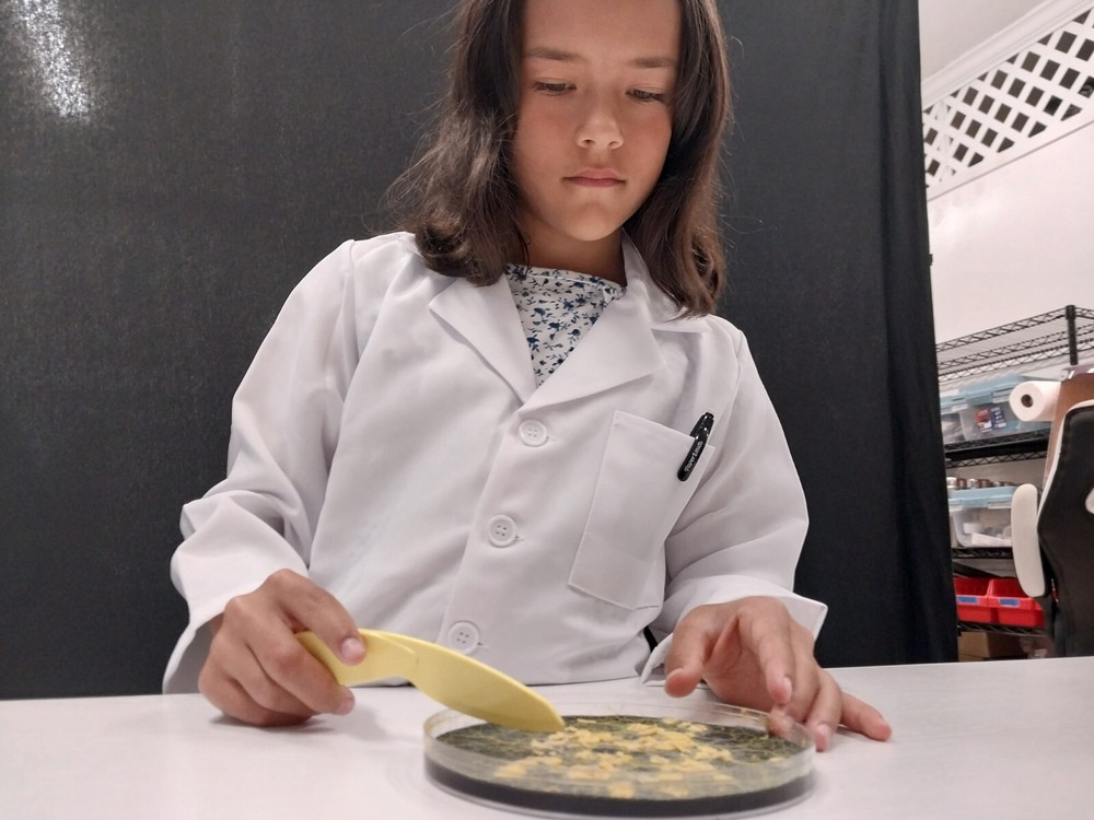 Pet Blob Home School Science Kit Complete with Tools & Instructions