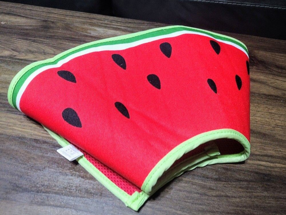 Leeper Watermelon Fabric Dog Cone