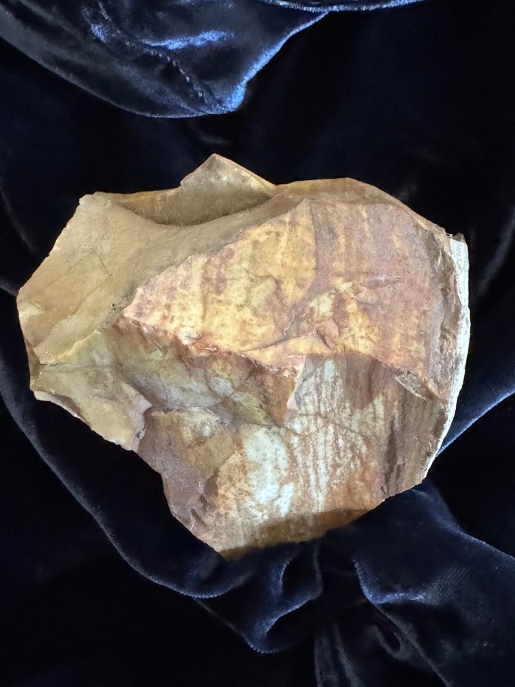 Petrified Wood