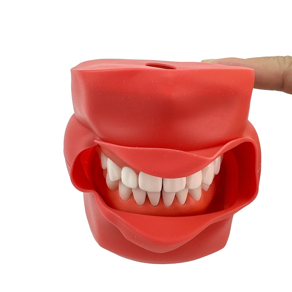 Dental Phantom Head Model Silicone Mask 28Pcs Screw Fixed Teeth Simulation Model
