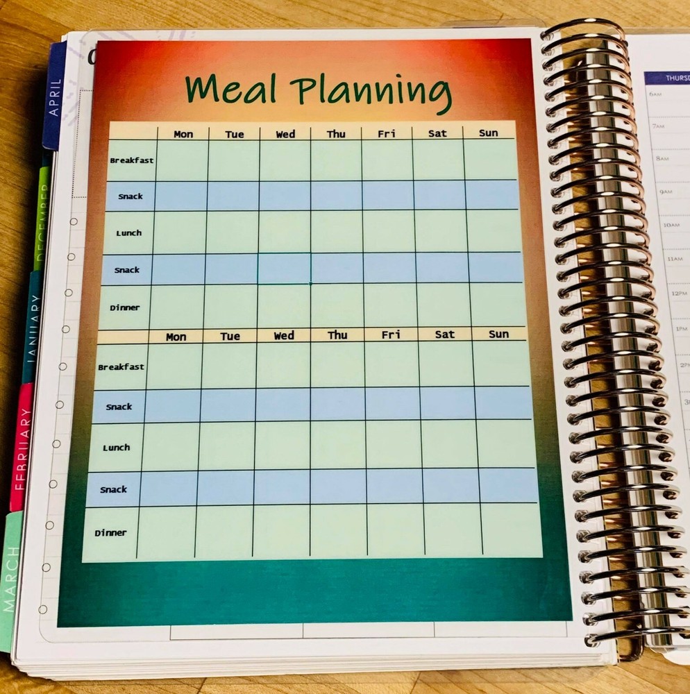Four Week Meal Plan Two Sided Dashboard Insert for use w Erin Condren Planner