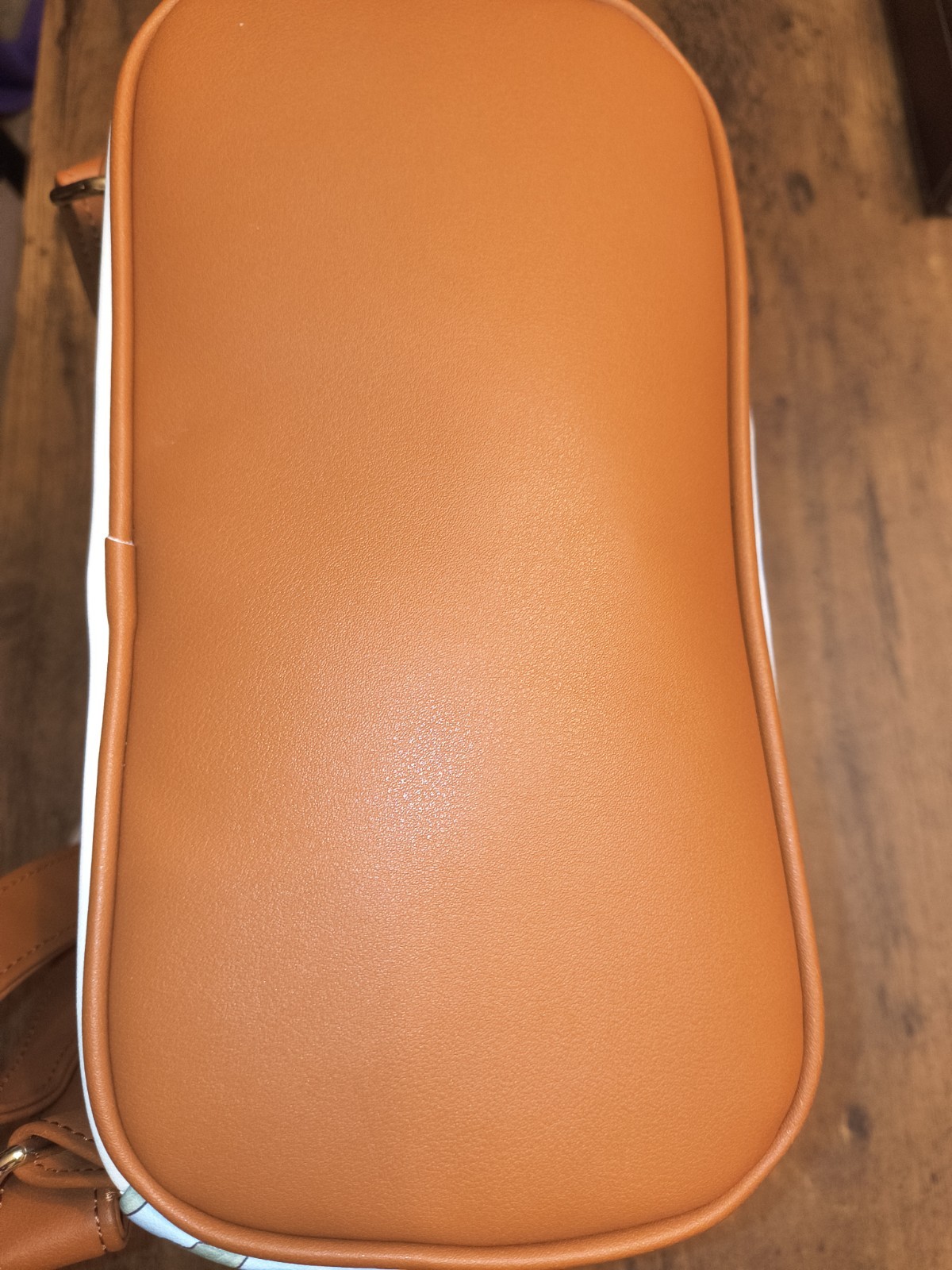 Loungefly Disney Princess and the Frog Tiana Mini Backpack New