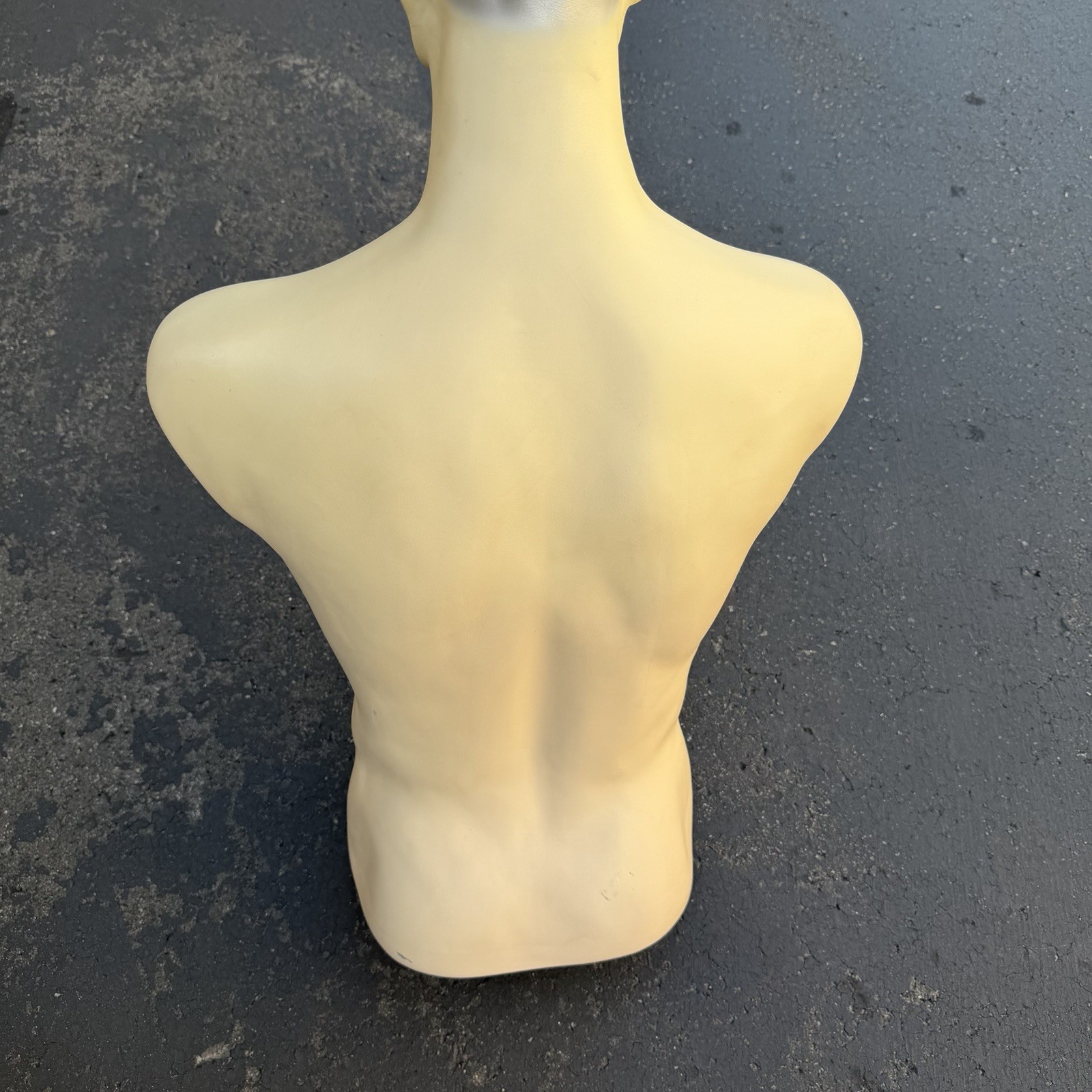 Lady Lulu Vintage Mannequin Torso Head Male Man Muscle Silver Spike Hair