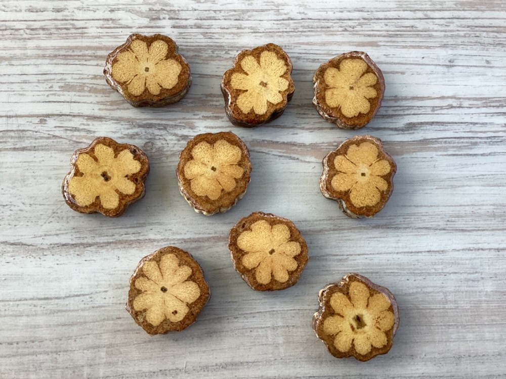 10 Pcs Ayahuasca Vine Slice 2.7cm