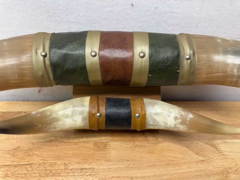 Mounted Steer Bull Horns Set