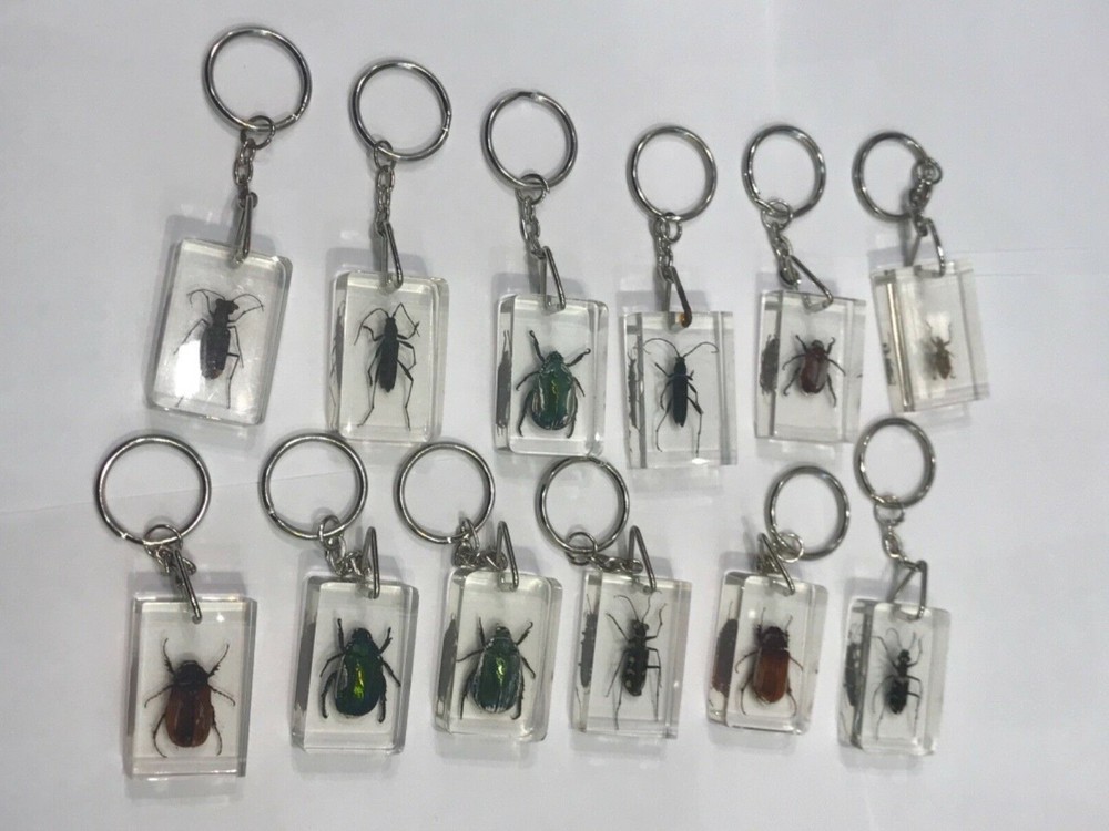 Insects Crystal Clear Keychain 12 Pcs
