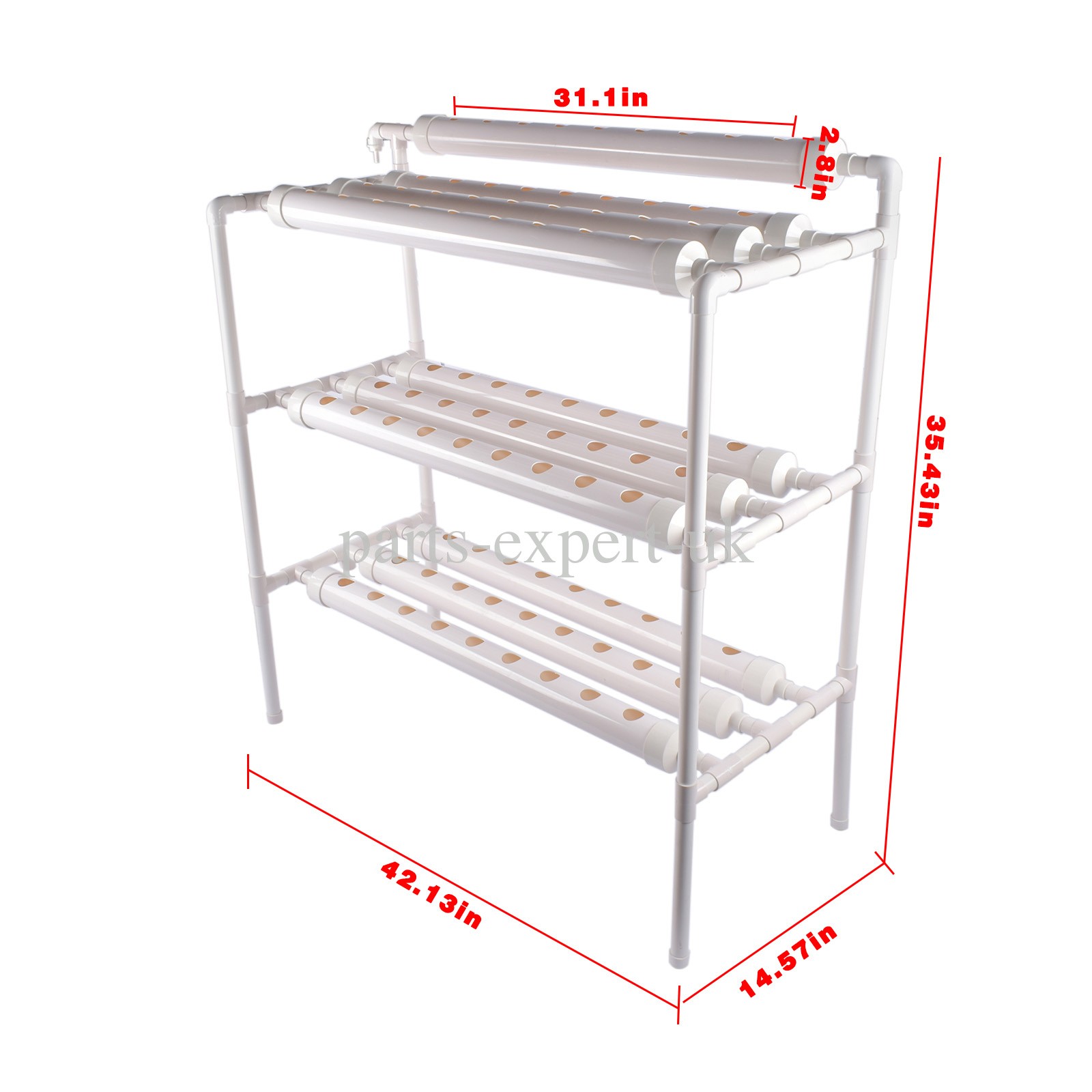 Aquaponics Growing System for Indoor&Outdoor Leafy Vegetables 90 Planting Points