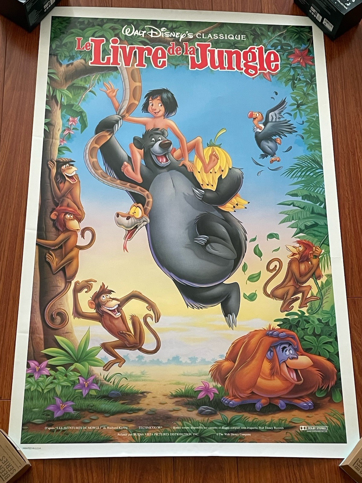 Disney THE JUNGLE BOOK French Original Movie Theater Poster 41”x 27”