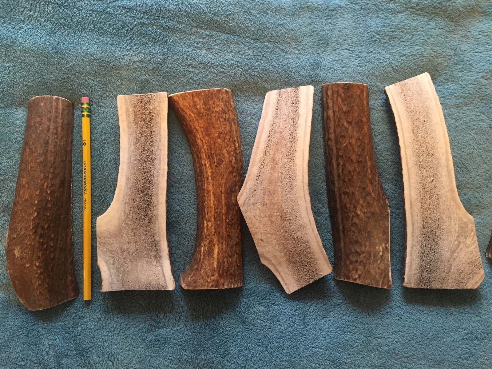 Huge JUMBO MAGNUM Split Prime Chews Elk Antler Dog Chew SALE Large XXL (1 Ea)