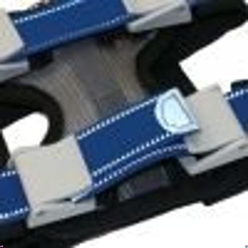 Cesar Millan Pack Leader Collar™ - Premium Training Collar by Dog Whisperer,