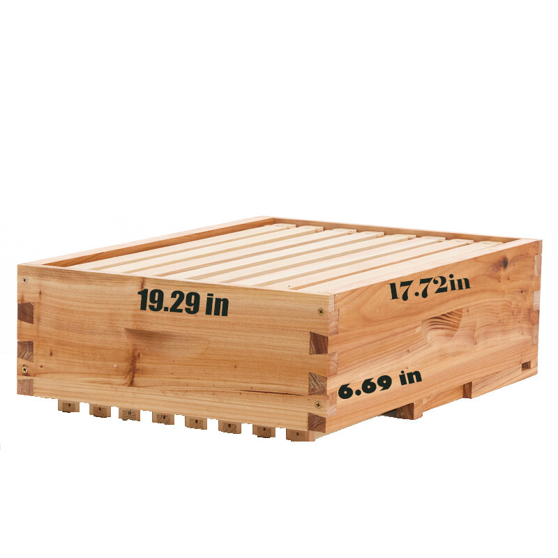 1 Layer Beehive Super Box Deep 10 Frame Wax Langstroth Beekeeping & 10X Frames