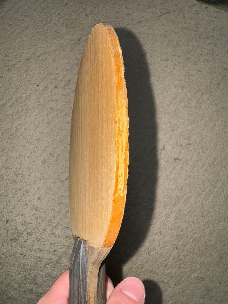 Ranunculus table tennis racket
