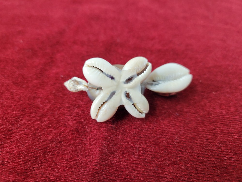 Vtg Tiny Shell Turtle With Red Hat And Glasses 2.5"
