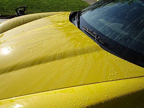 RejeX High Gloss Polymer Wax, 16 oz.