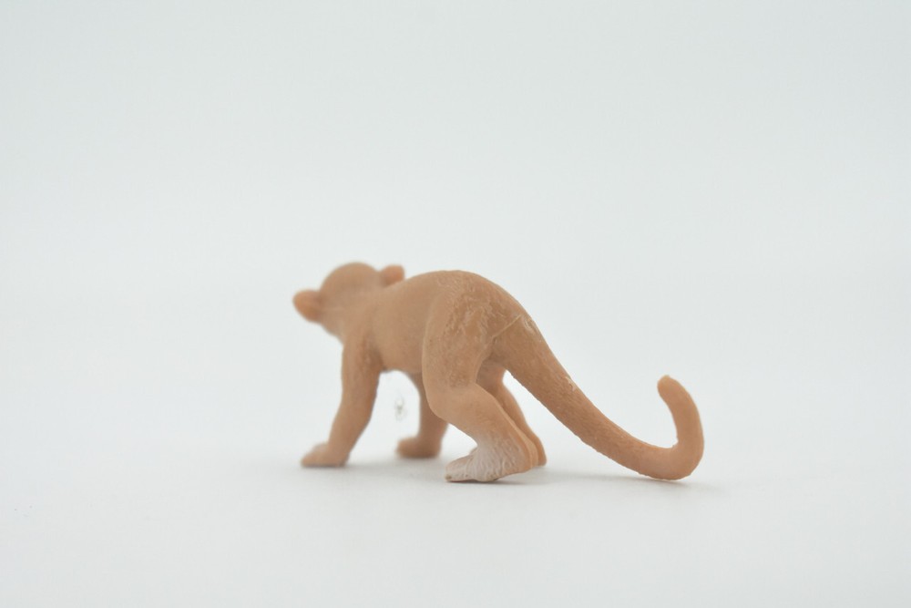Monkey Squirrel Primate Realistic Toy Figure Statue Model 2.5" CH548 BB159