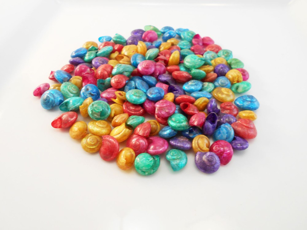 8 oz (about 500 shells) Dyed Umbonium Mini Shells (1/2") Beach Crafts Seashells