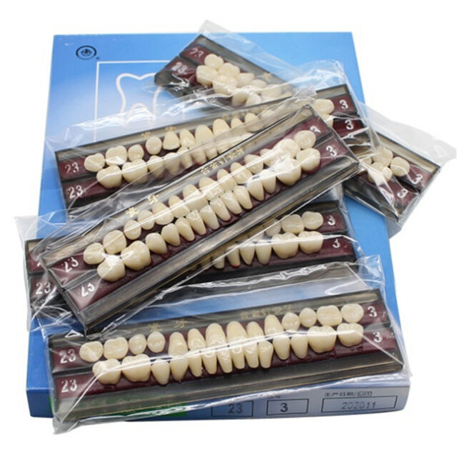 #23 Alloy Pin Porcelain Teeth Dental Materials Colors Shade Guide Upper Teeth CE