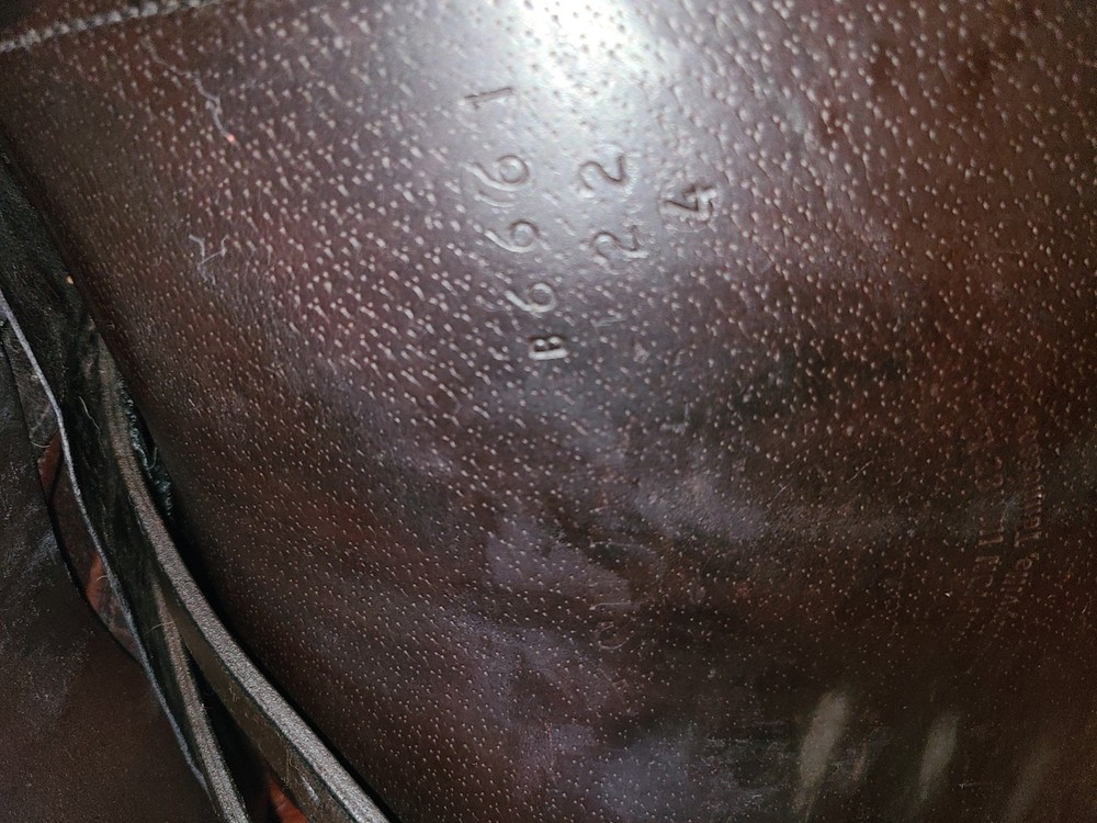 Shively MMX Cut-Back Show Saddle 22”