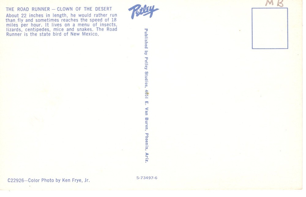 DESERT ROAD RUNNER- PC5313