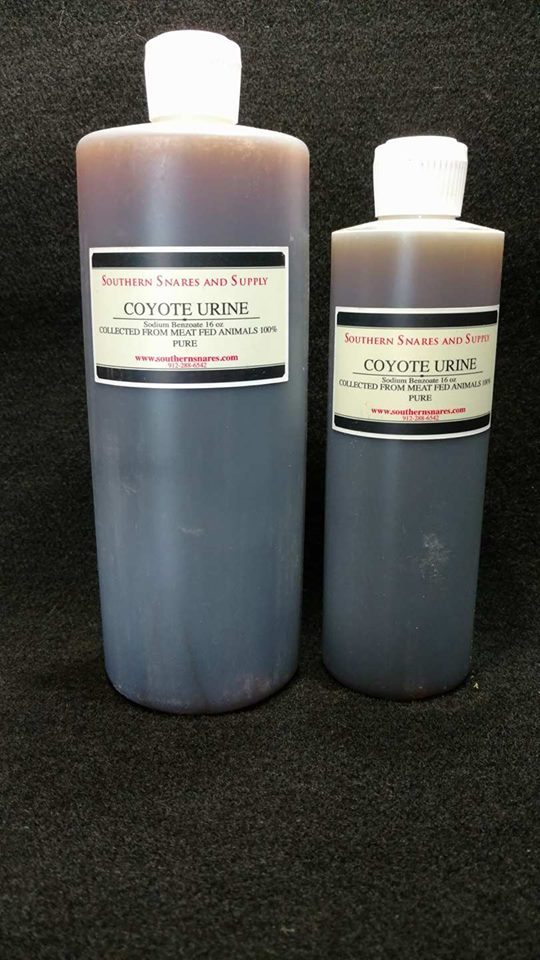 COYOTE URINE 100% PURE PROFESSIONAL QUALITY TRAPPING FOX COYOTE BAIT LURE