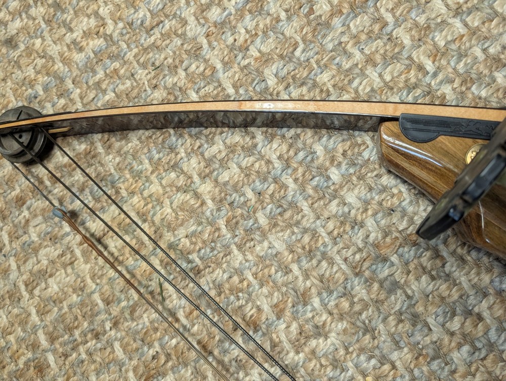 Brown Bear AMO Compound String Length 37 Bow