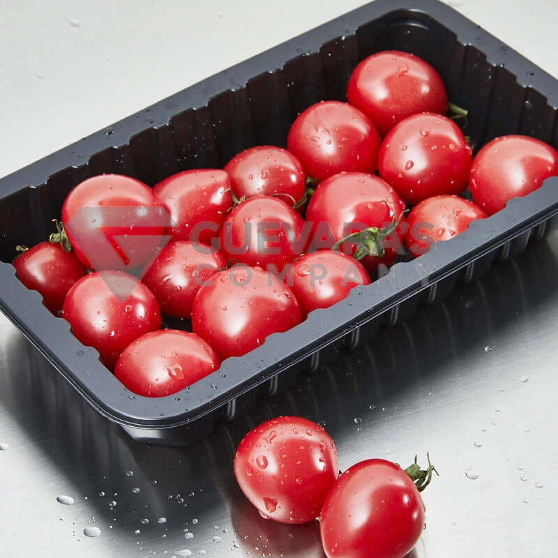 Fast Food Plastic Trays For Sale Plastic Drying Tray For Fruit Vegetable Chicken