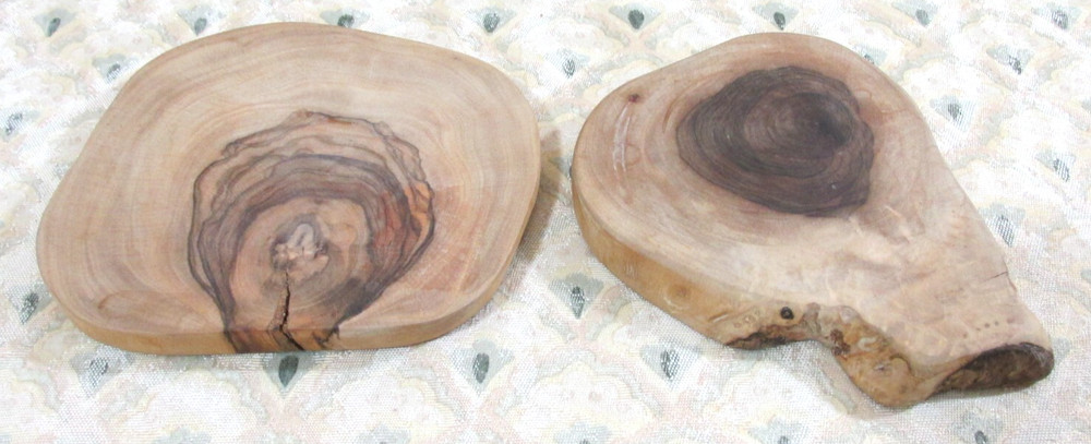 PETRIFIED TREE SLICES FOSSILIZED 5" ROUNDS
