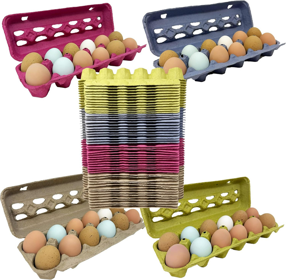 Paper Pulp Egg Cartons - Assorted Colors - 50 Pack