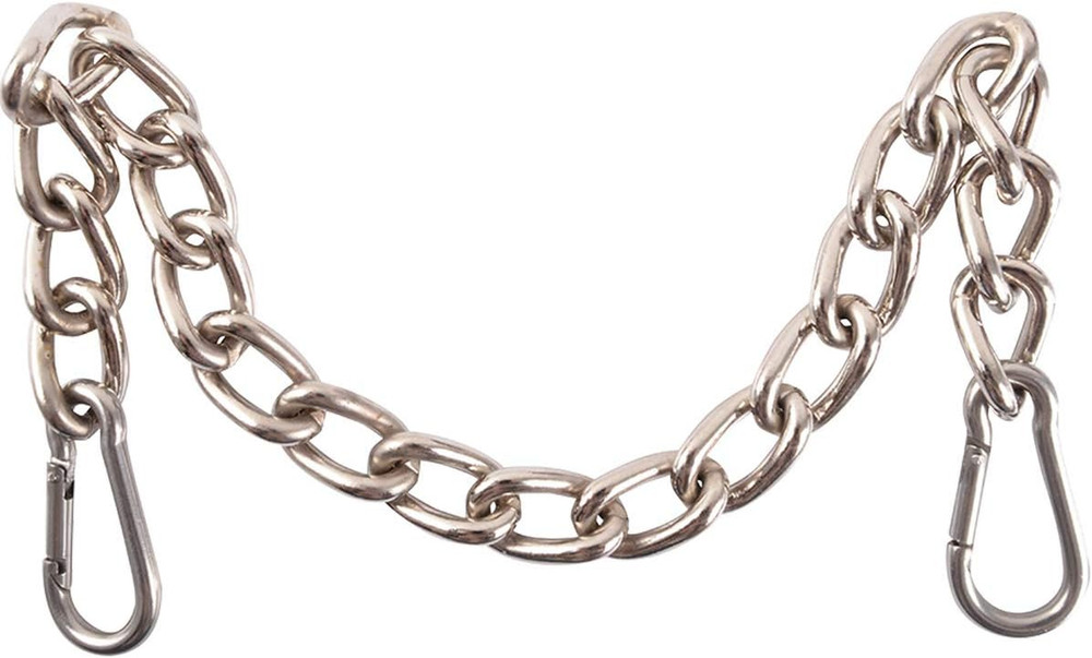 SS Hackamore Chain